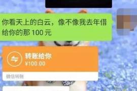 徐汇要账公司更多成功案例详情